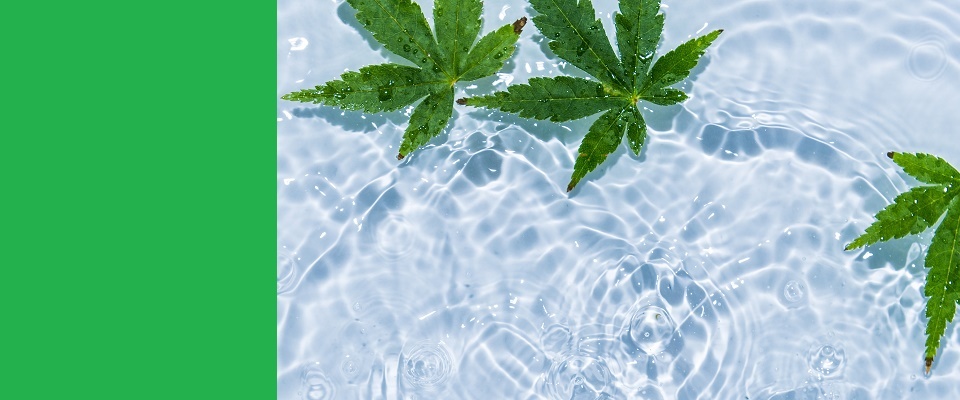 株式会社ビオトープソリューションのサイトです